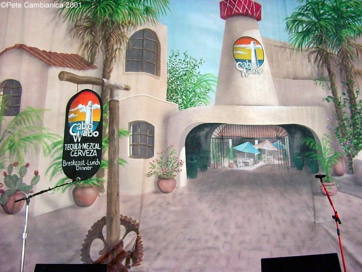 Stagecurtina