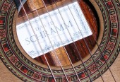 Sammy's Nylon String Guitar