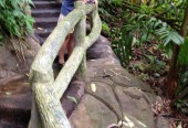 Costa Rica Trip!