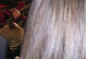 DSCN0464a