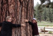 Treehuggers