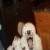 Satch's picture