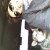 pampatino's picture