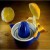 Terra S's picture