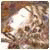 decebleatiara's picture
