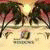 TerryBah's picture