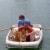 hooch3698's picture