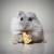 TimothyDap's picture