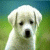 pansionvof's picture