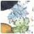 Gabrielgiz's picture