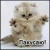 kinsiExemi's picture