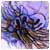 Josephamami's picture