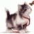 Kanbenda's picture