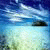 AnthonyEvili's picture