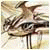 BrianweP's picture