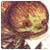RubinBof's picture