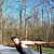MIBA1's picture