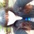 Magpies142's picture