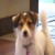 larry campbell's picture