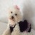 sparrow78's picture