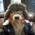 MickeyT's picture