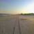 surfgreen's picture