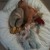 Pugchaser's picture