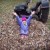 matt begley's picture