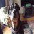 Micktherat's picture