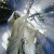 ingeslemp0's picture