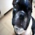 DocNoir's picture